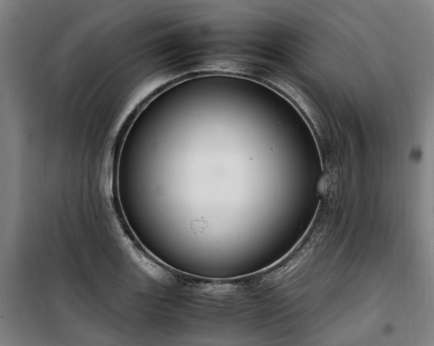 X0000100341131200806121144