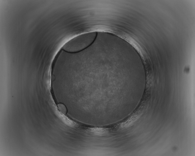 X0000100341132200806121144