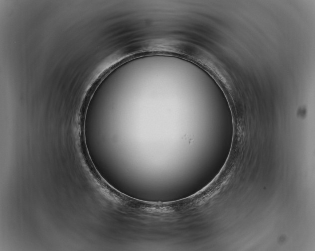 X0000100341133200806121144