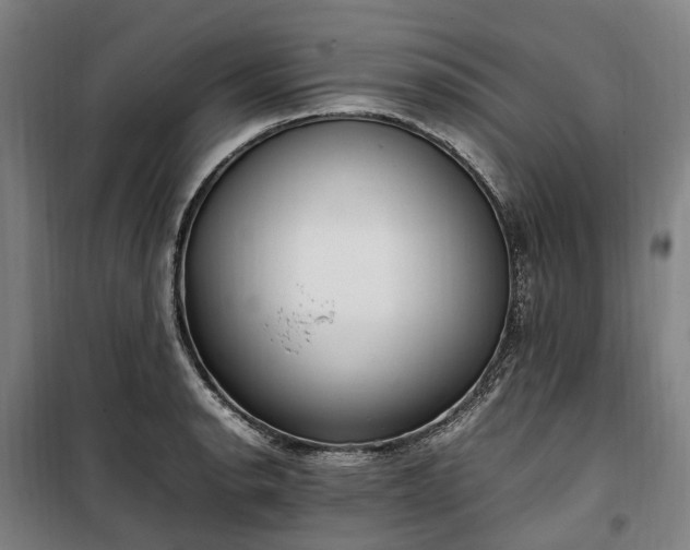 X0000100341134200806121144