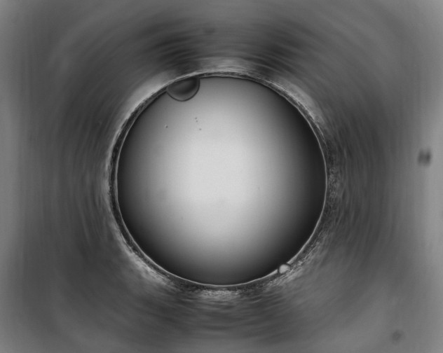 X0000100341135200806121144