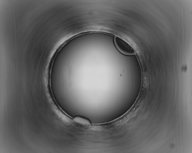 X0000100341136200806121144