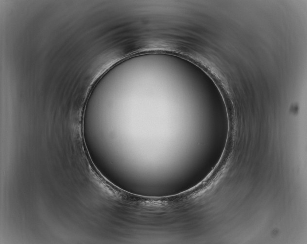 X0000100341137200806121144