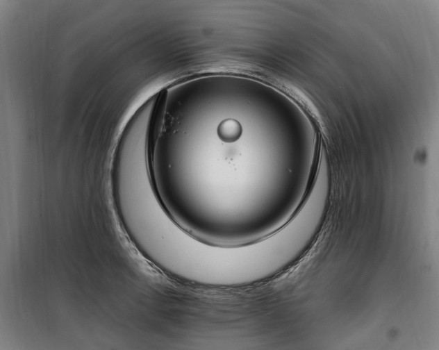 X0000100341138200806121144