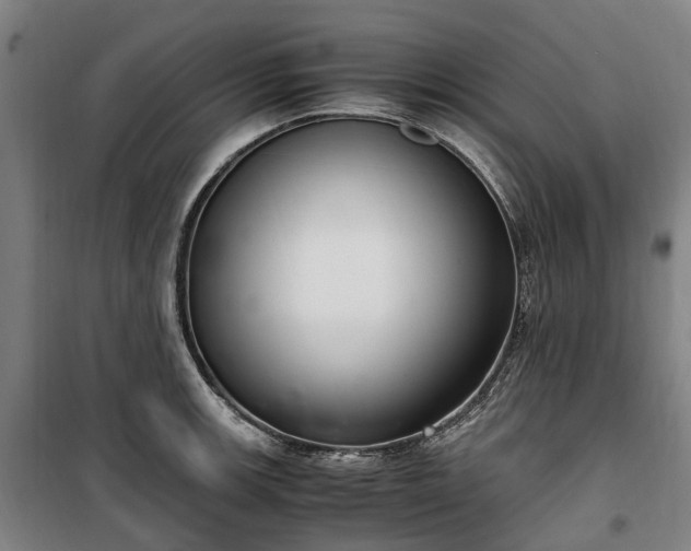 X0000100341139200806121144