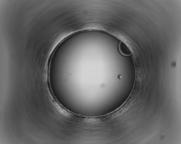 X0000100341140200806121144