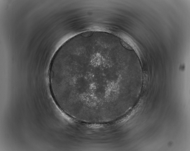 X0000100341141200806121144