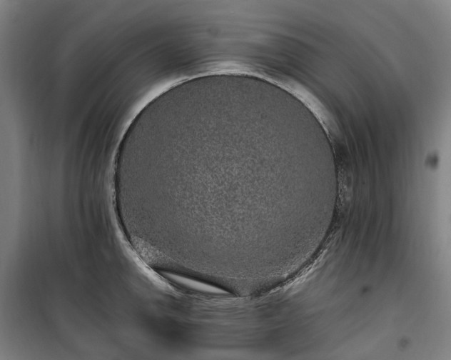 X0000100341142200806121144