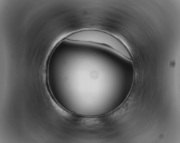 X0000100341143200806121144