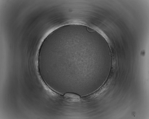 X0000100341144200806121145