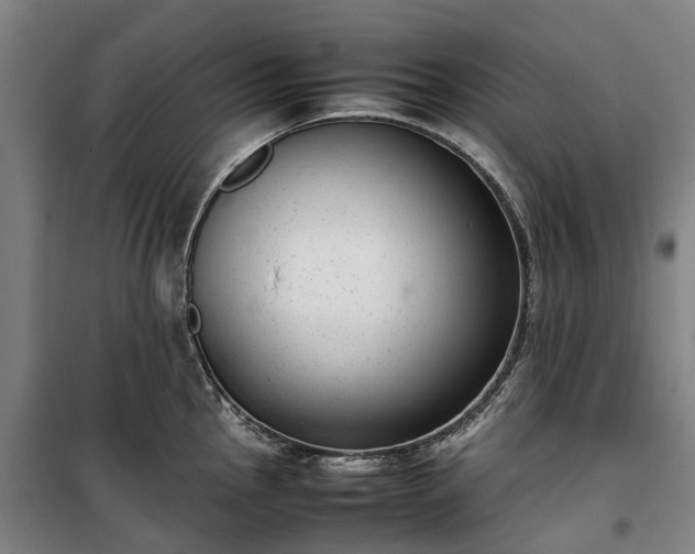 X0000100341145200806121145