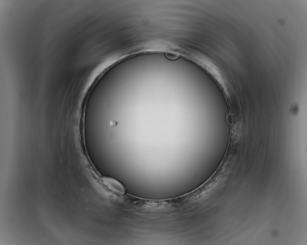 X0000100341146200806121145