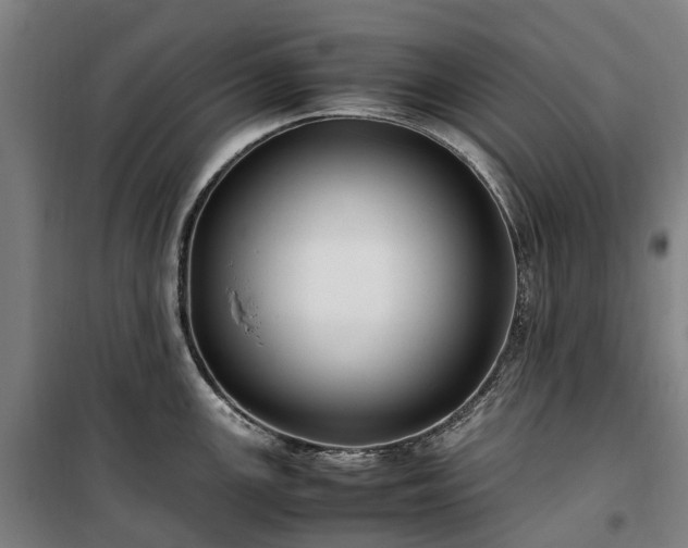 X0000100341147200806121145