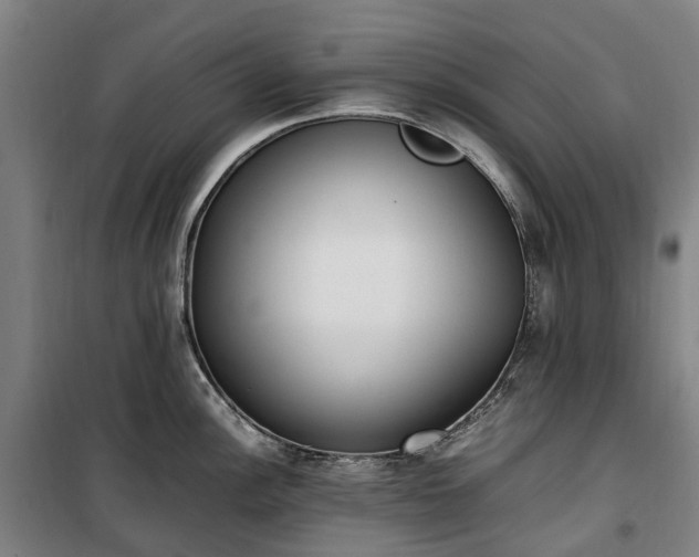 X0000100341148200806121145