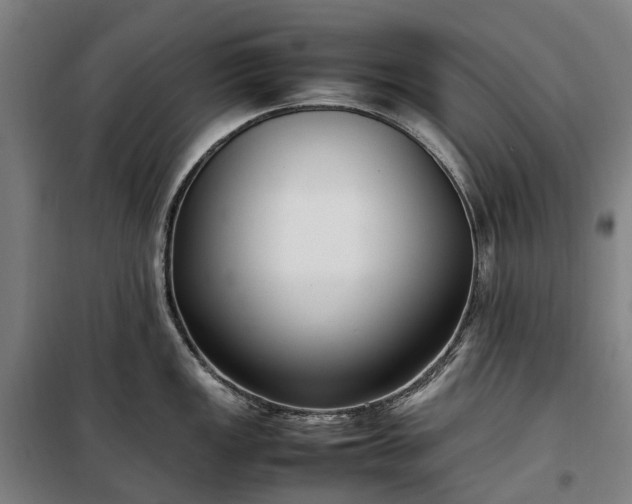 X0000100341149200806121145