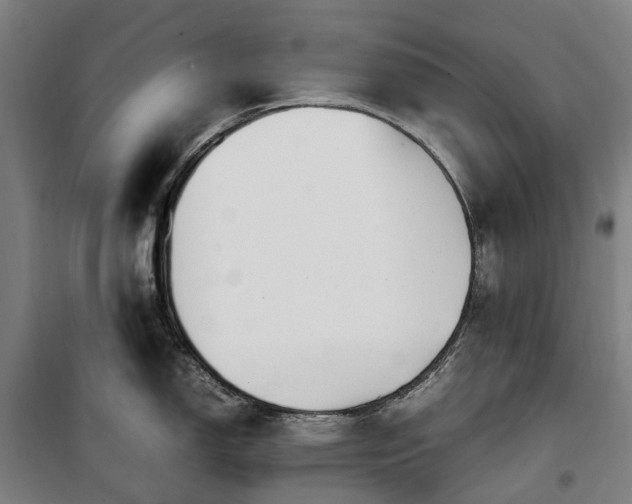 X0000100341150200806121145