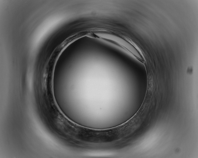 X0000100341151200806121145