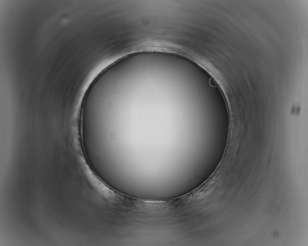 X0000100341152200806121145