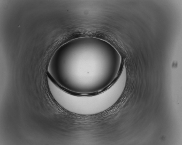 X0000100341153200806121144