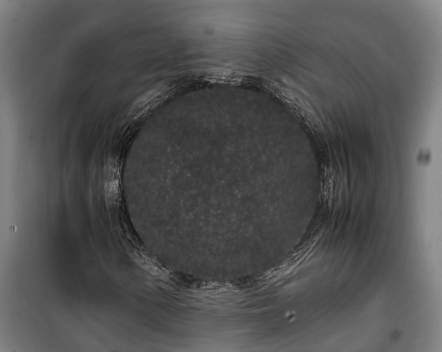 X0000100341154200806121144