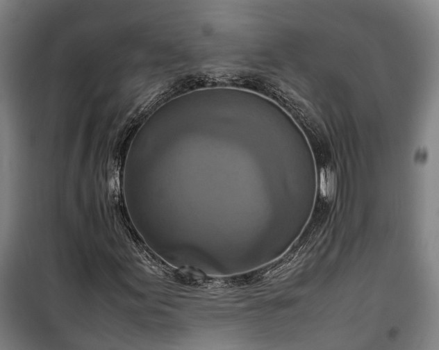 X0000100341155200806121144