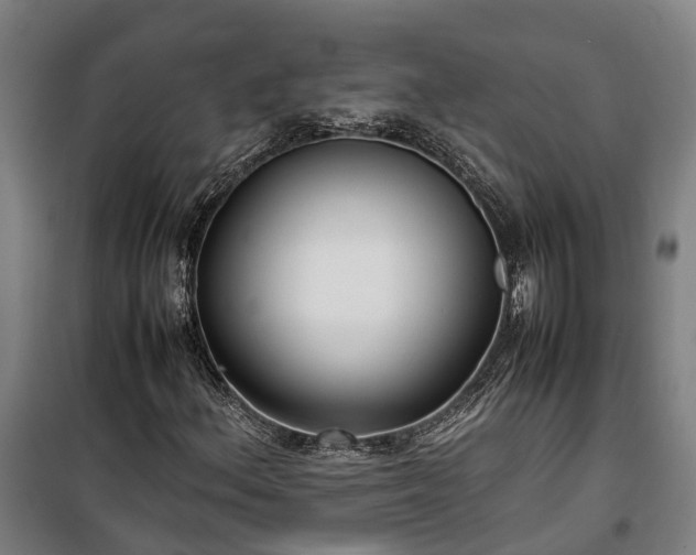 X0000100341156200806121144