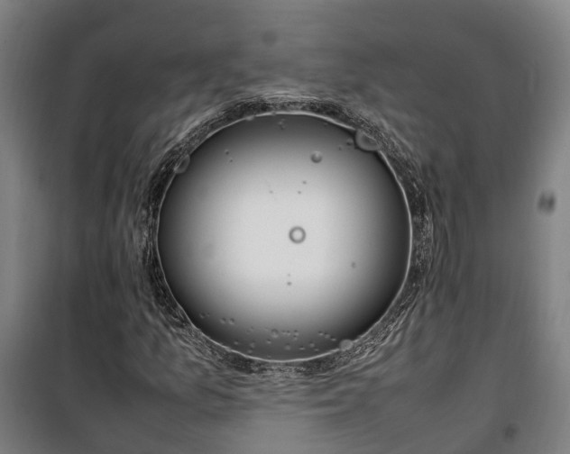 X0000100341157200806121144