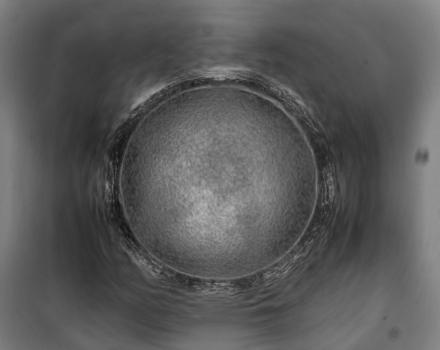 X0000100341158200806121144