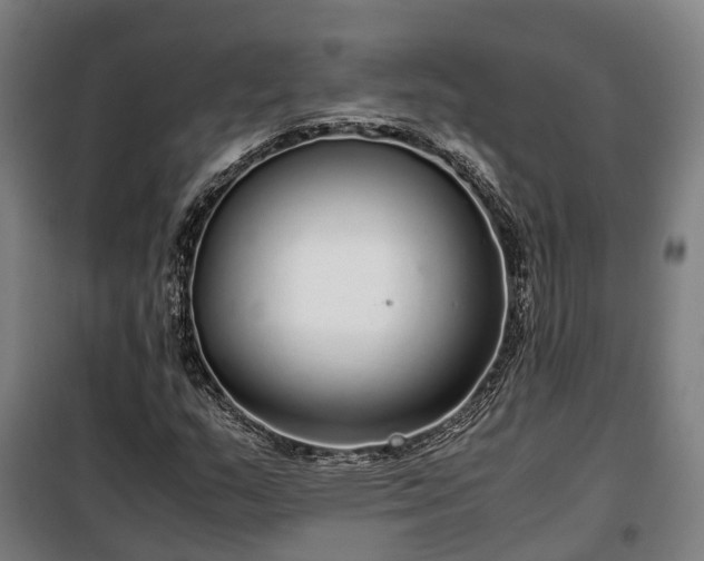 X0000100341159200806121144