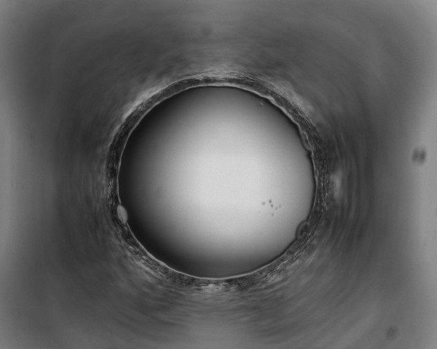 X0000100341160200806121144