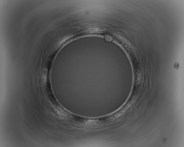 X0000100341161200806121144