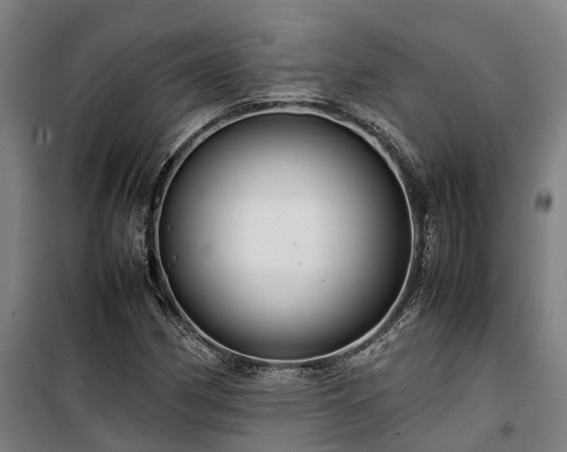 X0000100341162200806121144