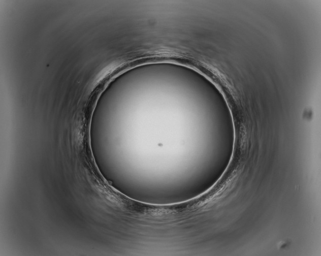 X0000100341163200806121144