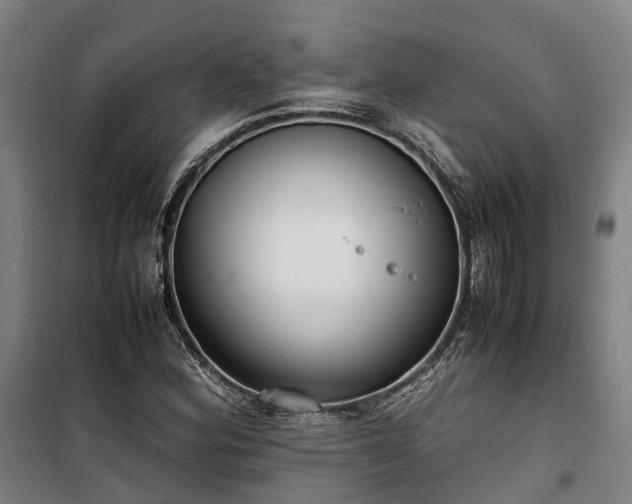 X0000100341164200806121144