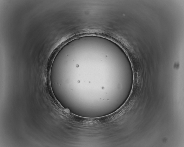 X0000100341165200806121144