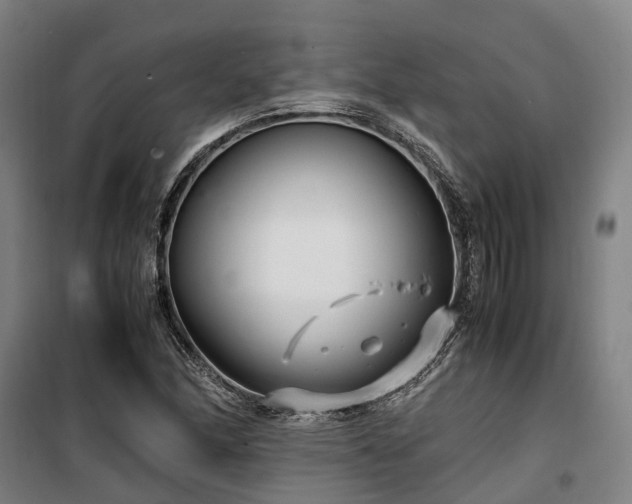 X0000100341166200806121144