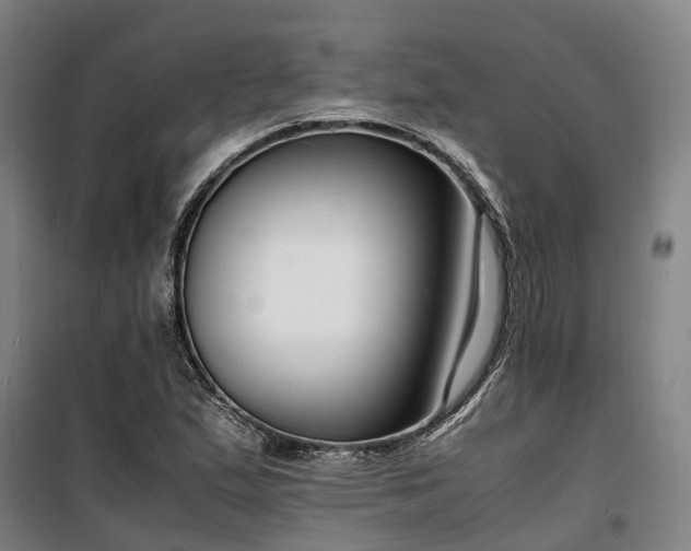 X0000100341167200806121144