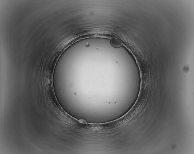 X0000100341169200806121144