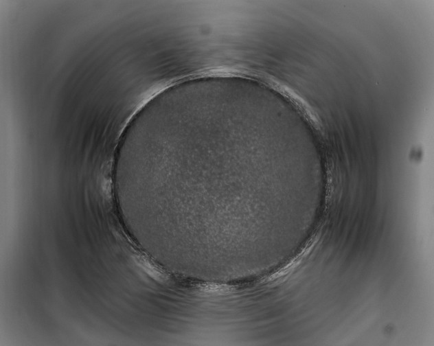 X0000100341170200806121144