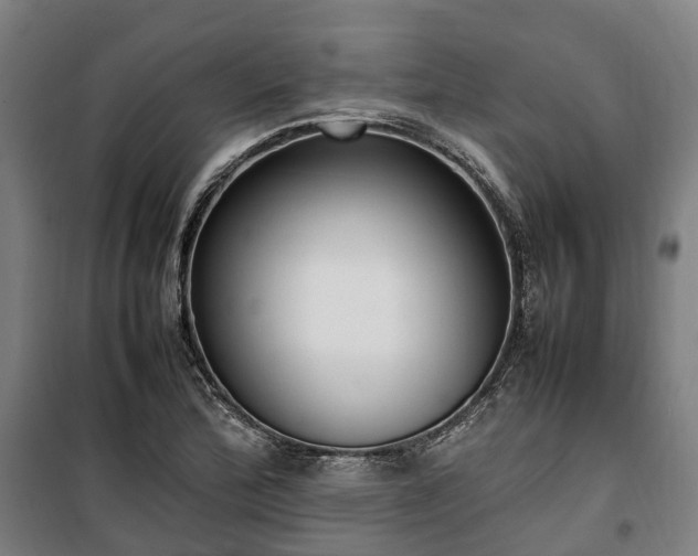 X0000100341172200806121144