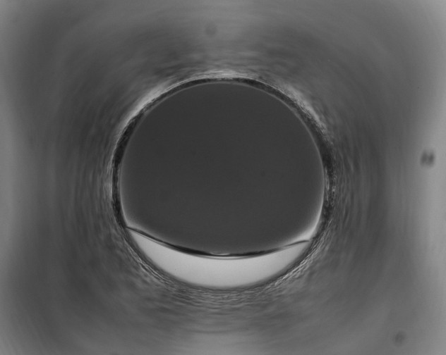 X0000100341173200806121144