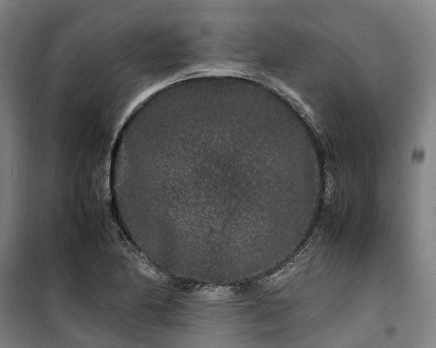 X0000100341174200806121144