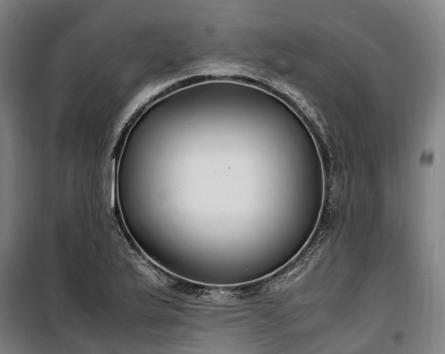 X0000100341175200806121144