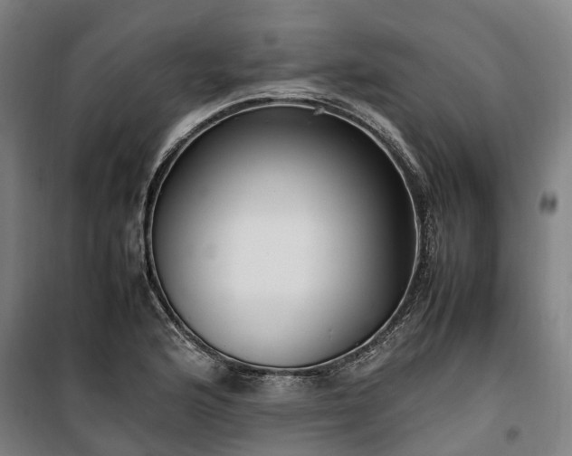 X0000100341176200806121144