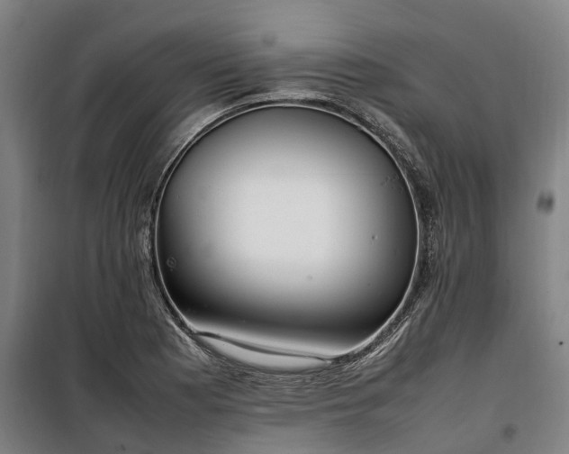 X0000100341177200806121144