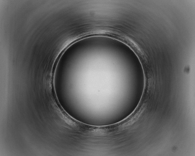 X0000100341178200806121144