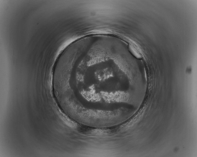 X0000100341179200806121144