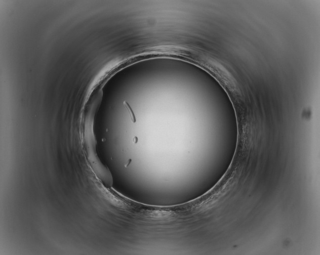 X0000100341180200806121144