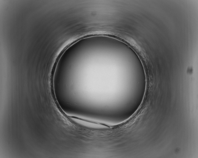 X0000100341181200806121144