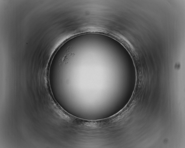 X0000100341182200806121144